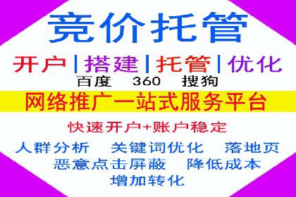 搜索引擎营销（SEM）托管服务在某企业的成功应用